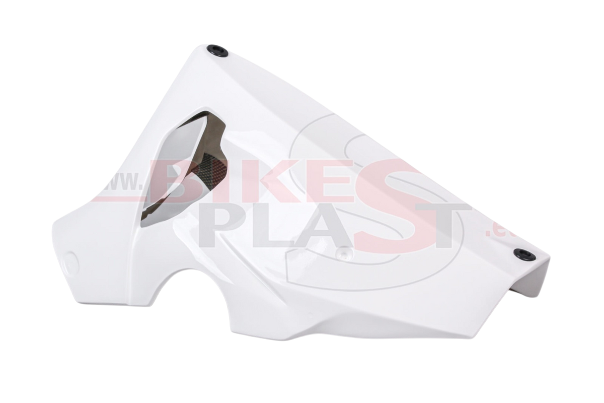 Race Fairings Kit –   YAMAHA R1 2020 -2025 BIKEPLAST