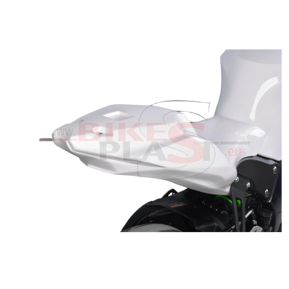 Race Fairings Kit –  KAWASAKI ZX-10R 2016 - 2020 BIKEPLAST