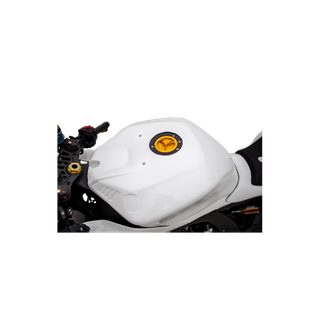 Race Fairings Kit –   YAMAHA R9 2025 -2026 BIKEPLAST