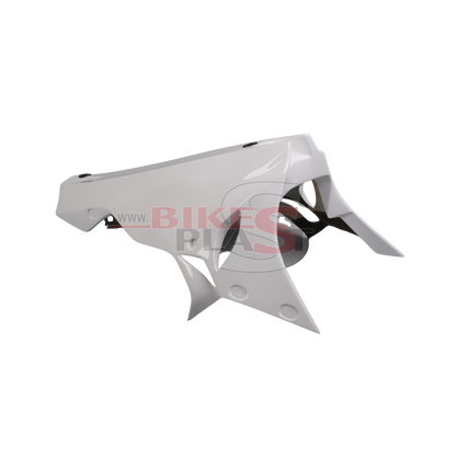 Race Fairings Kit – BMW S 1000RR 2015 - 2016  BIKEPLAST