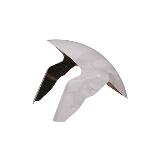 Front Fender – BMW S 1000RR 2009 – 2018  -  BIKEPLAST