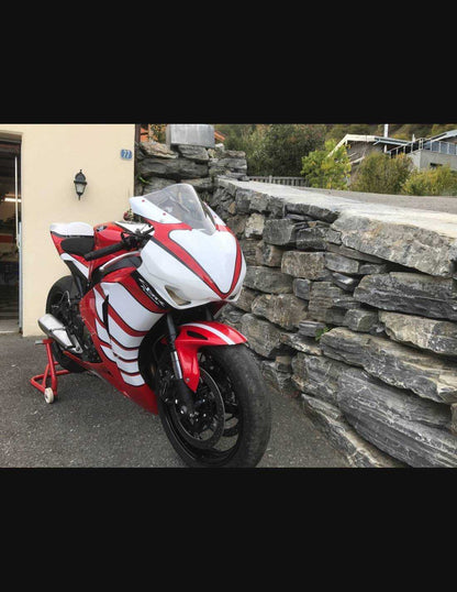 Painted Race Fairings Honda Cbr 1000 RR 2008 - 2011 - MXPCRV7261